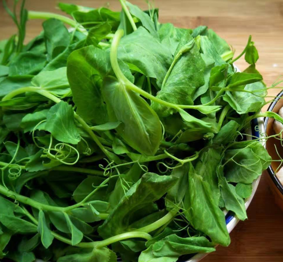 小馋猫介绍的这道菜就是清炒豌豆苗,豌豆苗在生活中