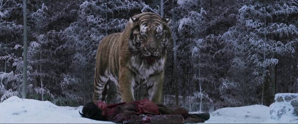 图片:"智异山山君"是一只从小瞎了一只眼睛的东北虎.