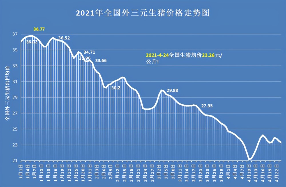 猪价大跌是什么原因