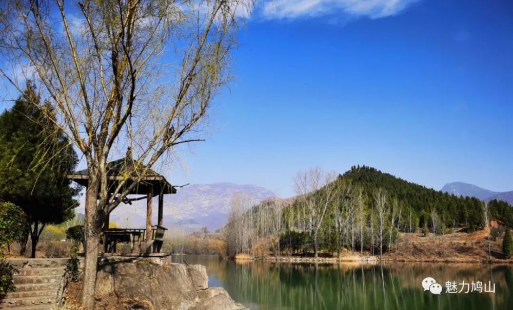 2021年度禹州市鸠山镇第四届槐花文化旅游节来啦!_腾讯新闻