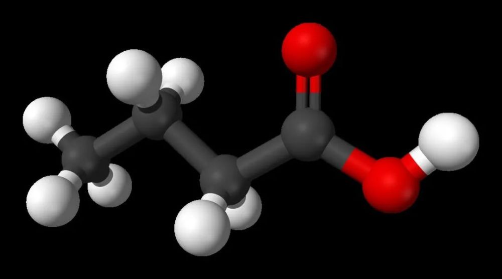 水变油是骗局但剩饭变汽油可不是