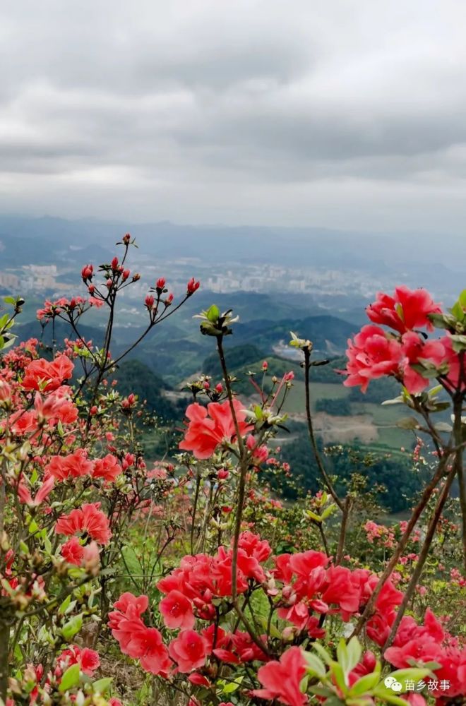 東望武陵山臺地,西瞰松桃縣城.