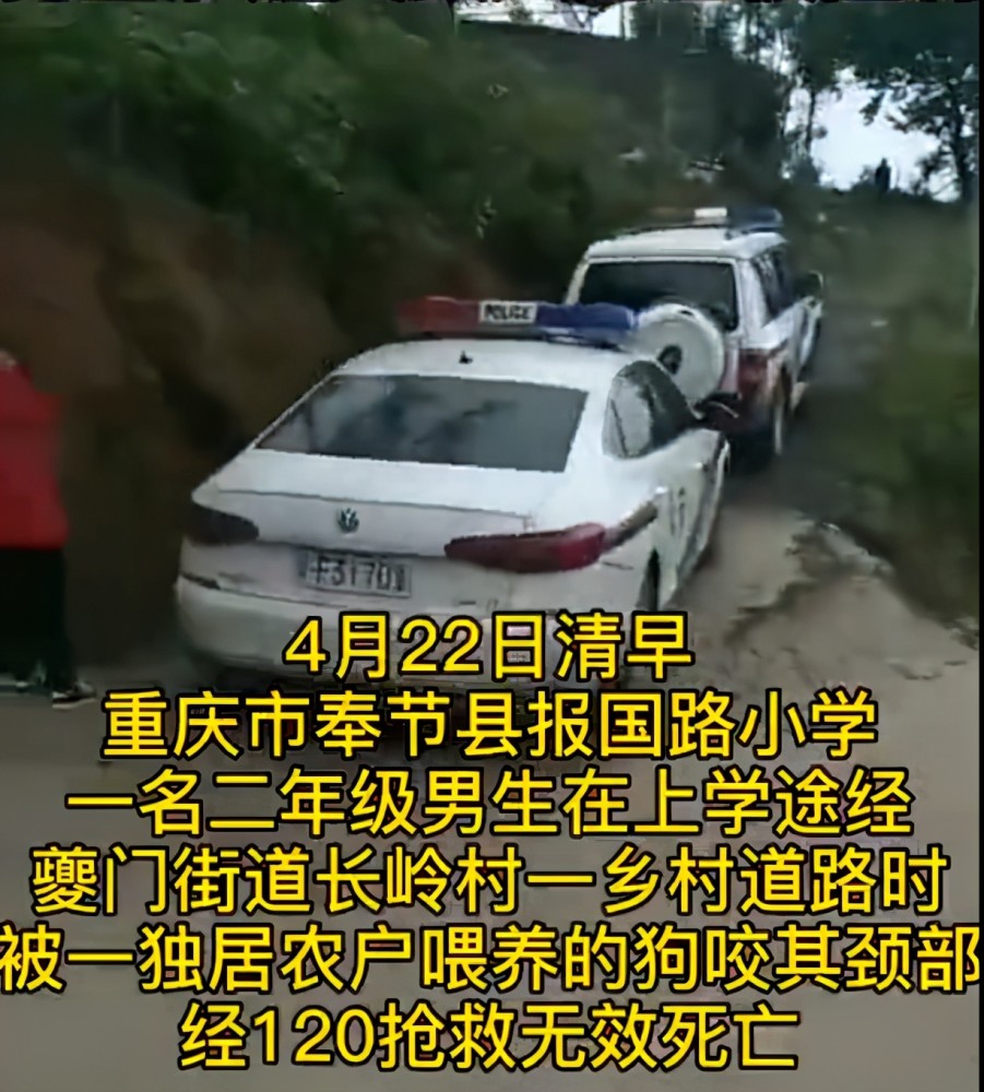 4月22日清晨,重庆市奉节县一名上二年级的男生在途经夔门街道长岭村一