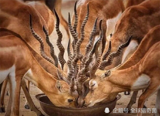 35张治愈强迫症的完美照片看完整个人都舒适了