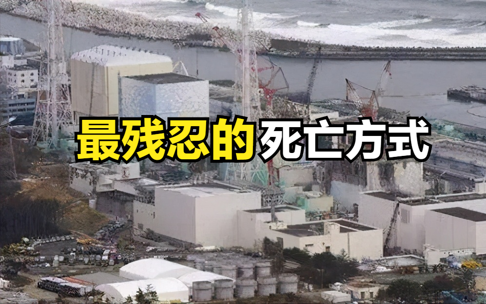 東海村核事故最殘忍的死亡方式全身dna斷裂皮消肉融