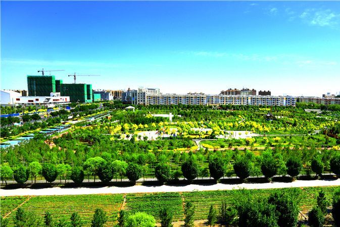 酒泉副县级镇西南距县城仅90公里为金塔县第二大绿洲