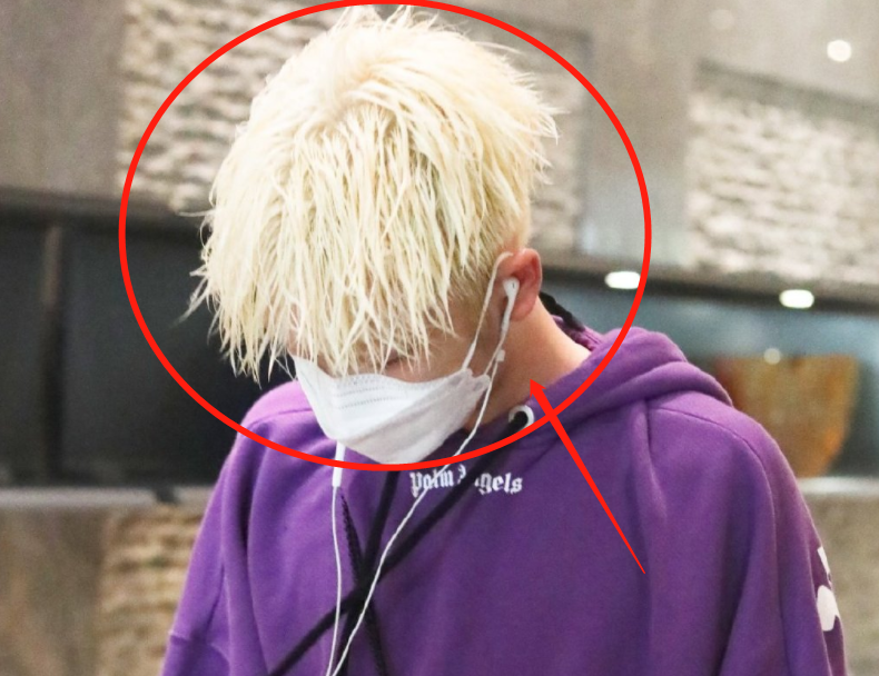 利路修笋丝发型火了当周震南get同款粉丝都在担忧发际线