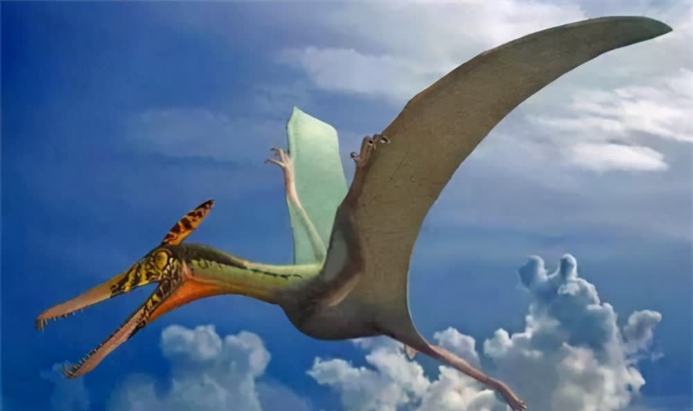 156年前美军抓到一只身长16米的翼龙还留下3张照片是真是假