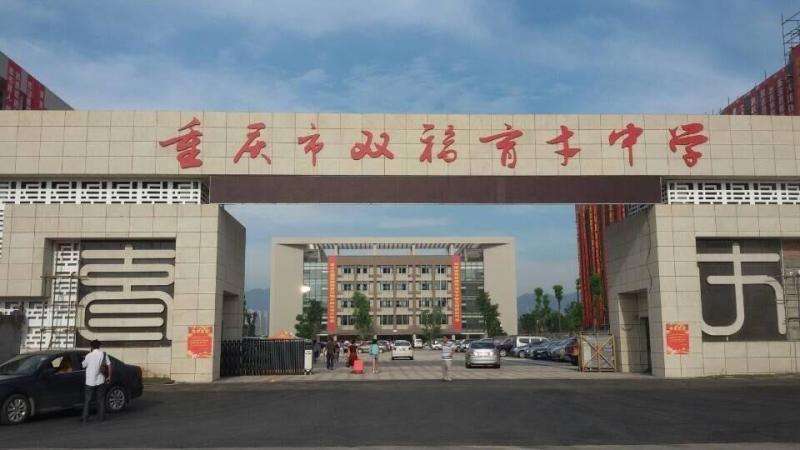 重庆七龙珠最强整顿来了!渝中区成最大赢家:学区二手房房价飙涨