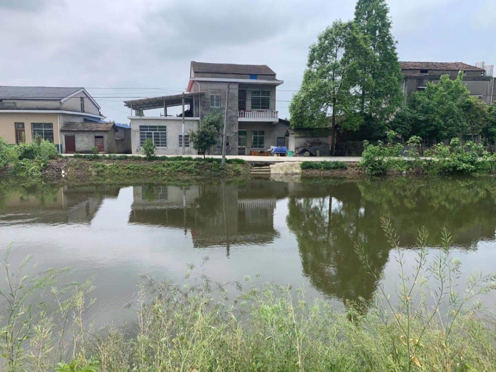 三仙湖镇:全面推行河长制 擦亮乡村振兴底色