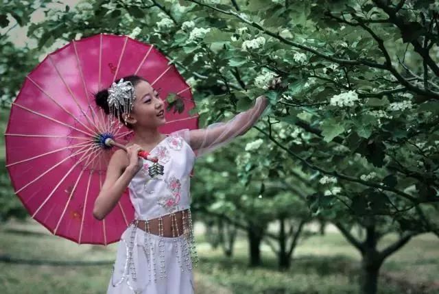 又到山楂花开时4月26日2021中国清河第七届山楂花节将盛大启幕