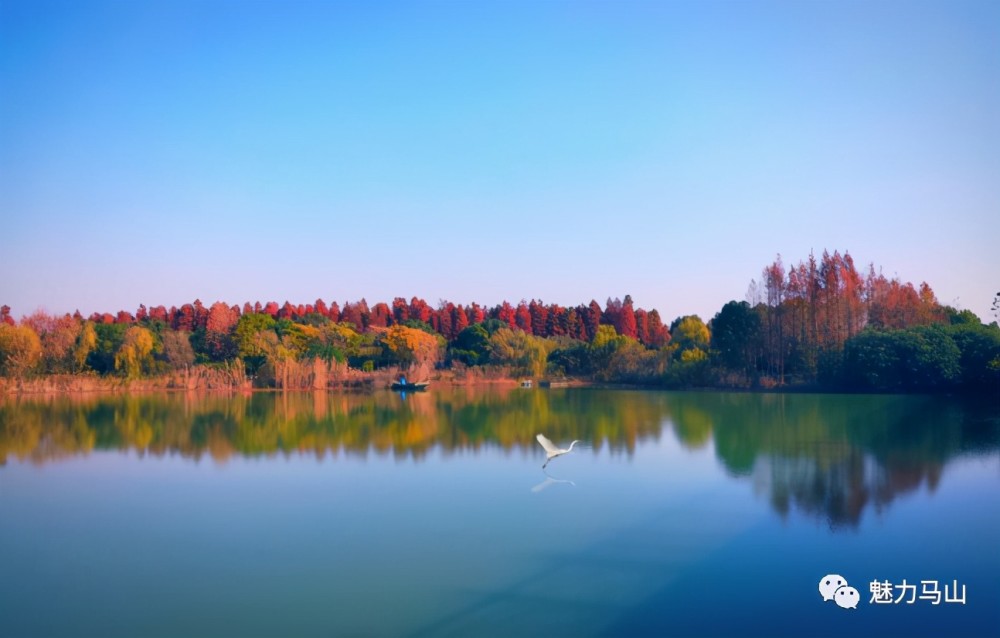 无锡北兴塘河湿地公园图片