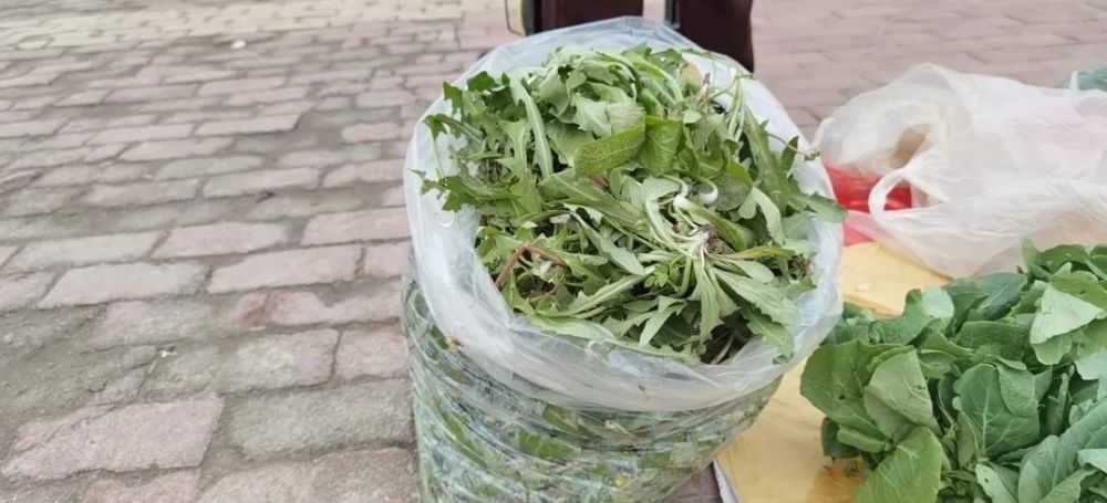 周末故事 有一种记忆叫挖野菜 腾讯新闻