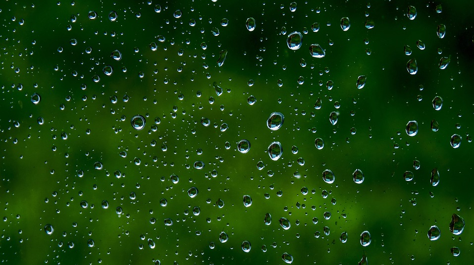 小雨或零星小雨明天我市将迎来降雨记得带伞