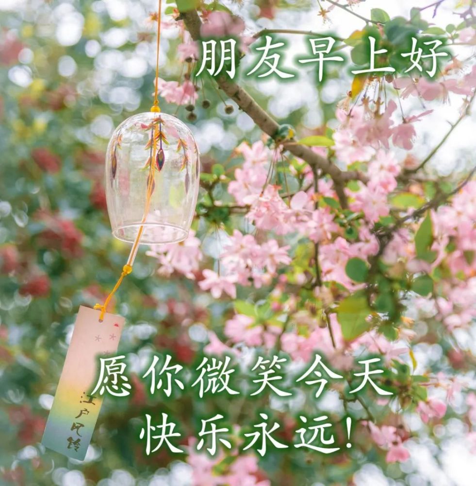 温馨幸福的早安图片祝福问候最新的早上好图片大全