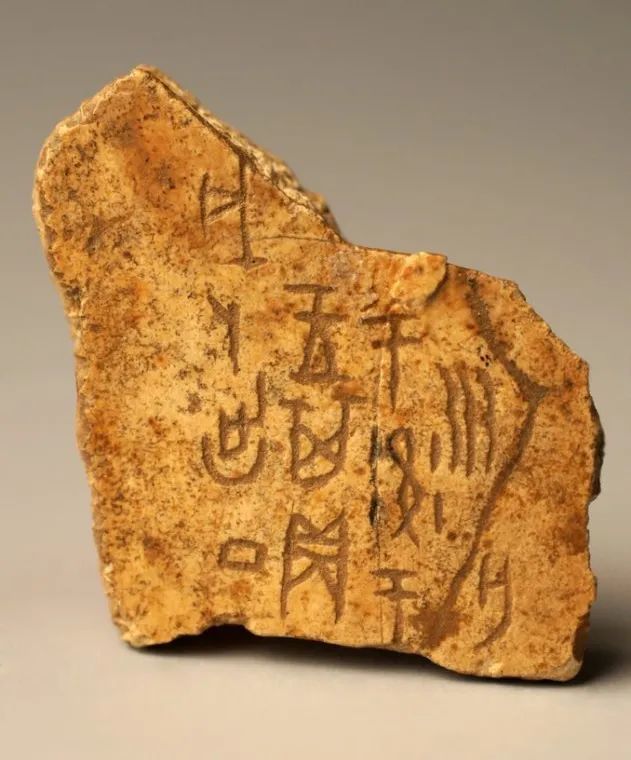 高清微距下的甲骨文震撼你的眼球