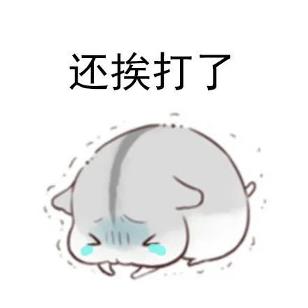 仓鼠表情包走要饭去