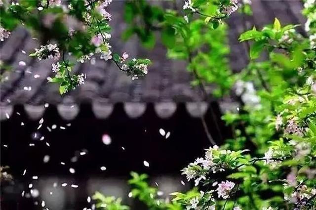 暮春时节,几首小诗送给即将逝去的春天