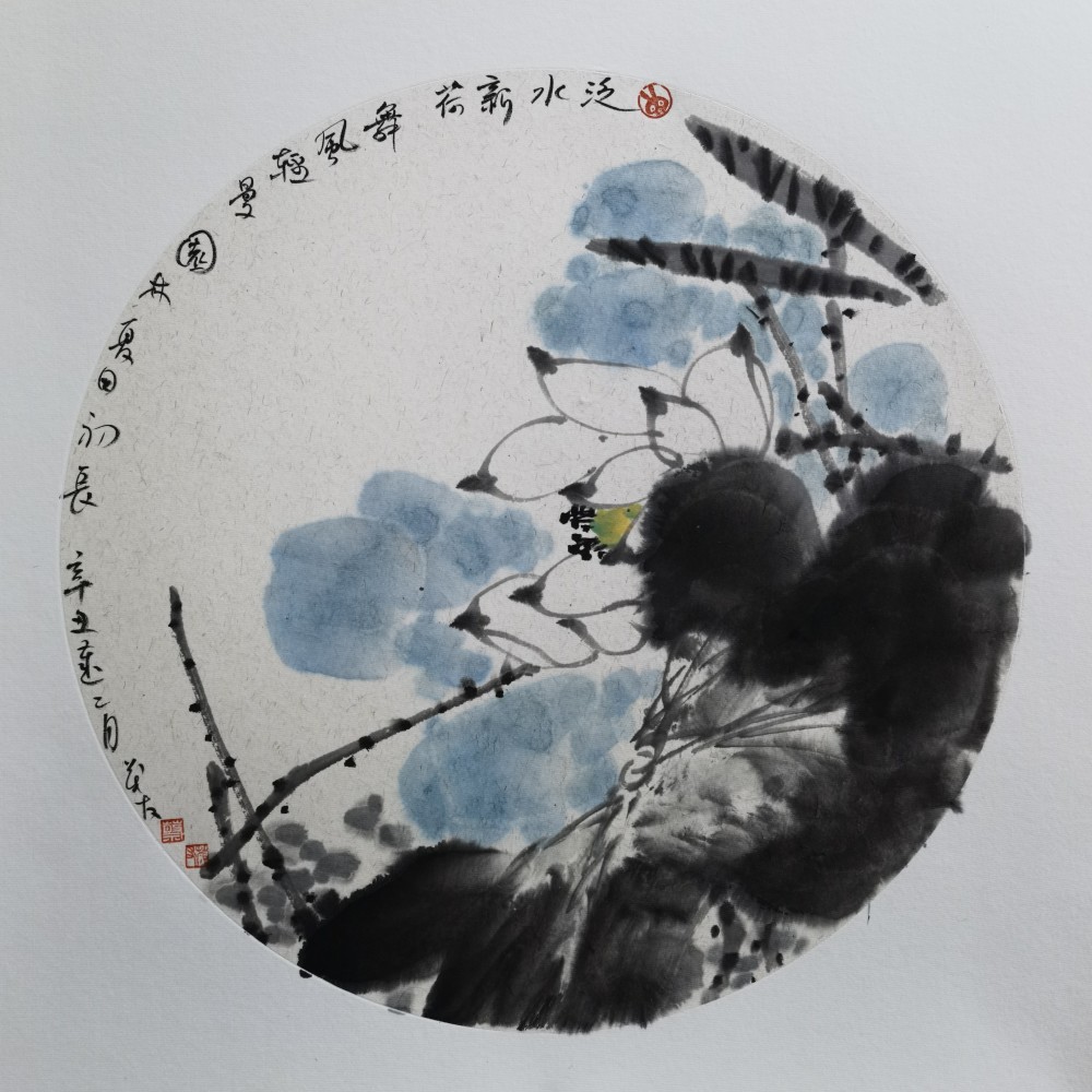 泛水新荷舞风轻蔡茂友辛丑年水墨花鸟作品欣赏
