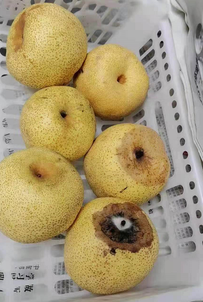 安徽一幼儿园被曝发现腐坏食品,克扣伙食!联合调查组进驻!