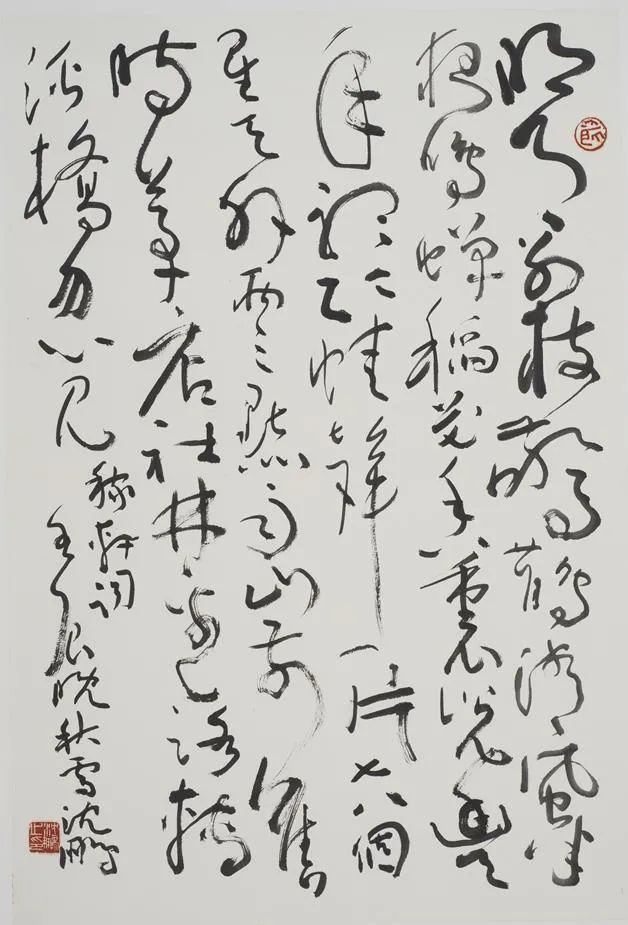 丹青賞聞道未遲沈鵬詩書作品欣賞中國美術館展出