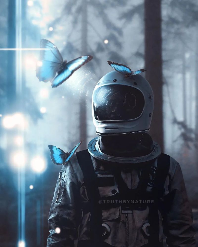 这个ps大神真的厉害每一张作品都毫无违和感