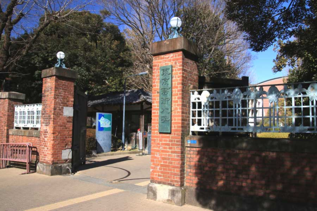 首先是日本唯一一所國立藝術類院校——東京藝術大學.