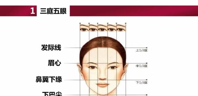 发际线种植要遵循这些原则发际线怎么种你知道吗