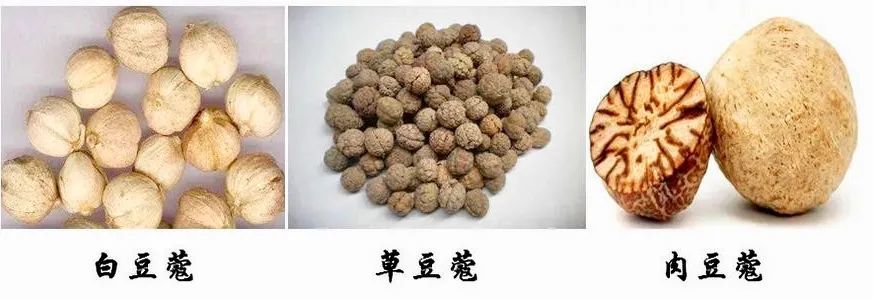 白豆蔻,草豆蔻,肉豆蔻均属姜科,气味均属辛温,入脾胃二经,都可以化湿