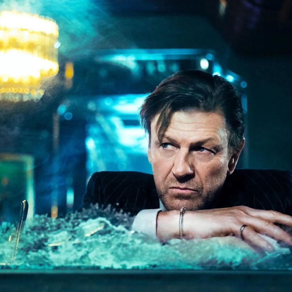 肖恩宾他是刚铎长子也是史塔克大人结过五次婚成了影帝