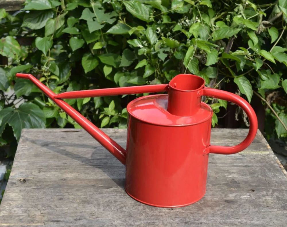 工欲善其事必先利其器浇花工具哪种更实用