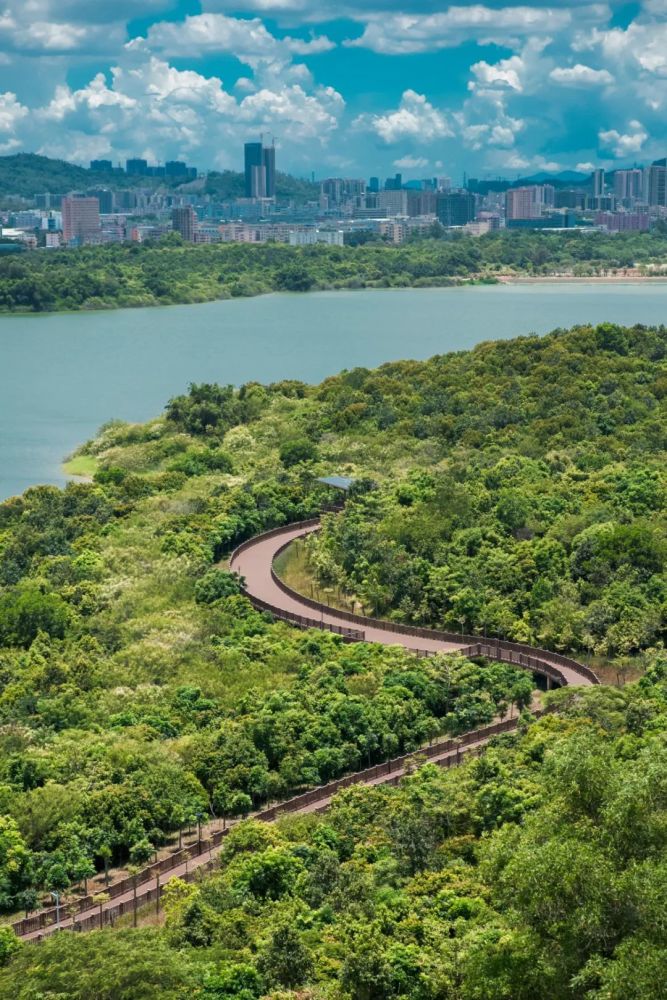 石巖溼地公園 - 石巖溼地公園環繞石巖湖而建 深圳最長的環湖綠道也