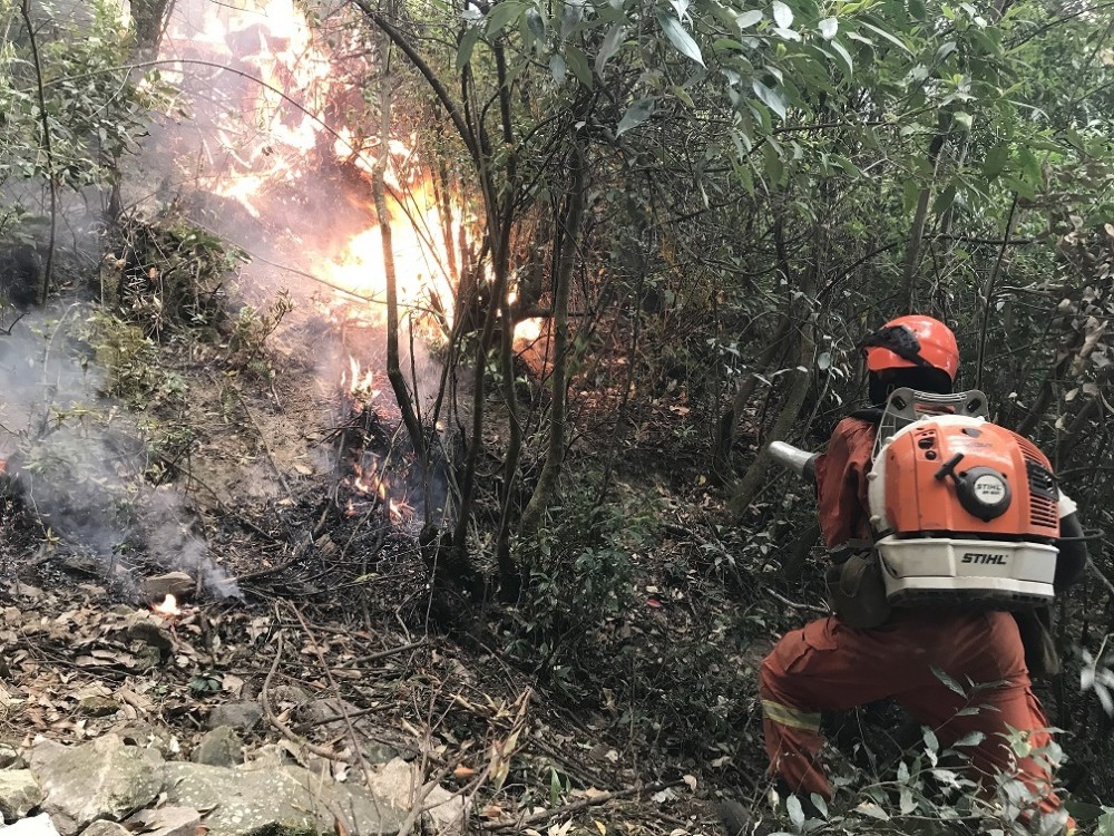 四川冕宁森林火灾持续5天,已扑灭火线53.2公里