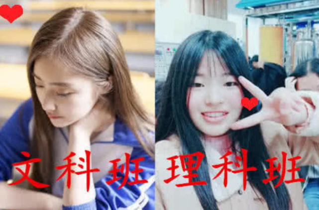 文科生和理科生班花对比网友直言差距大看谁略胜一筹