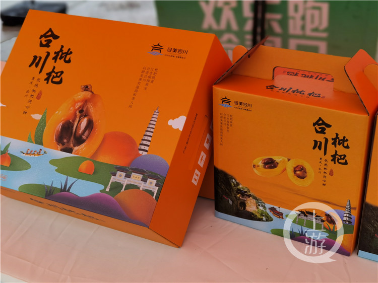 合川枇杷节开幕等你来采摘