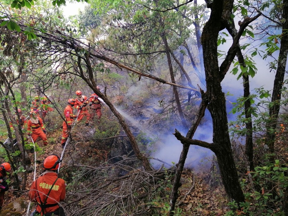 四川冕宁森林火灾持续5天,已扑灭火线53.2公里
