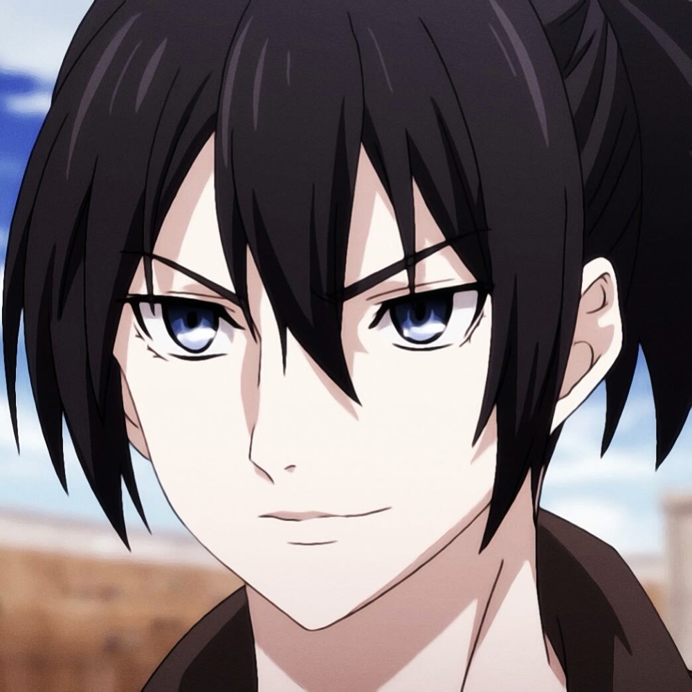 公主殿下内定驸马的动漫男头