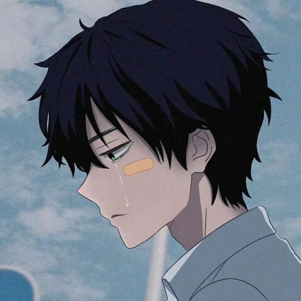 国服校草御用的动漫男头