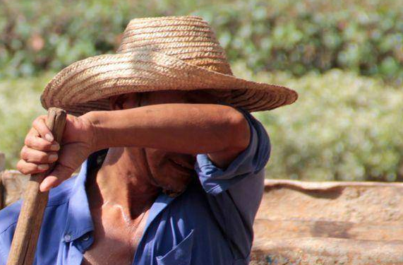 农民抱怨种地不挣钱未来没人种地可咋办官方提出3点办法