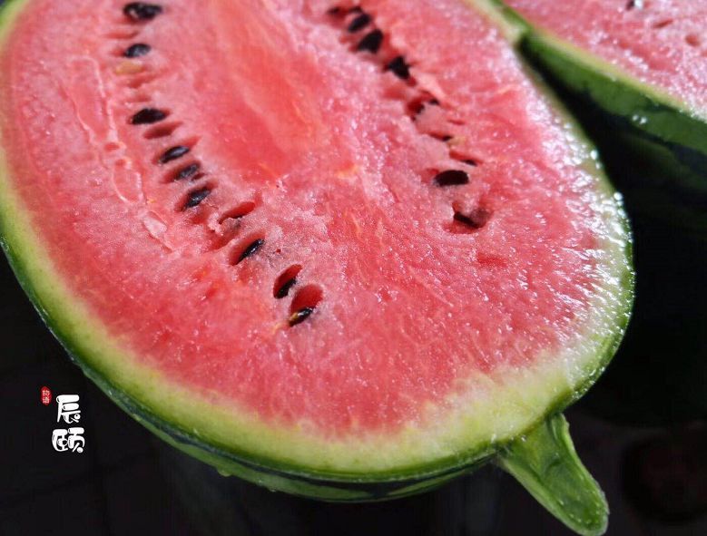 辰颐物语麒麟2k冰糖小西瓜好吃不止一点点目前最新优质品种
