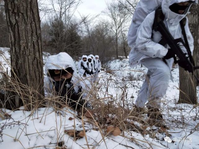 唱支军歌给党听丨"白老虎连":攻如白虎当先锋_腾讯新闻