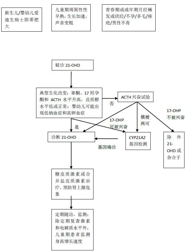 β-酮硫解酶缺乏症图片