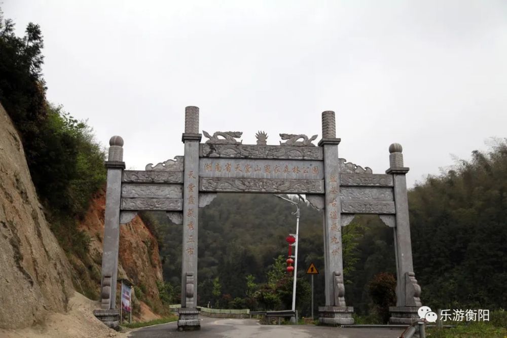 上车行几分钟,路上可以看到一个「湖南省天堂山国家森林公园」的牌坊