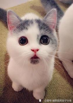 开心一刻段子:女友下楼取快递,刚回来就说道:咱俩分手吧!