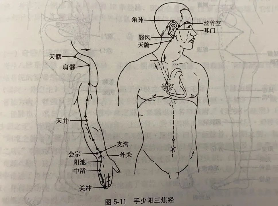 十二經絡的循行部位與表裡關係2