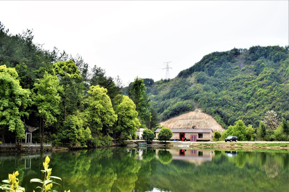 漫步永康飞龙山风景区赏析春天的风和日丽