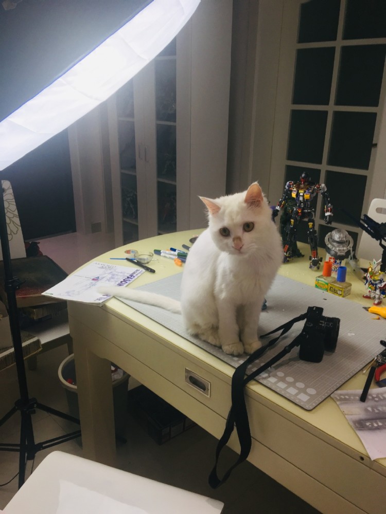 怀孕网红作家留遗书后失踪:丈夫多次出轨还维护小三