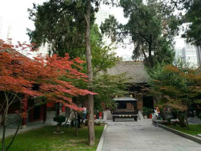 西安有1300多年曆史的寺廟門票免費