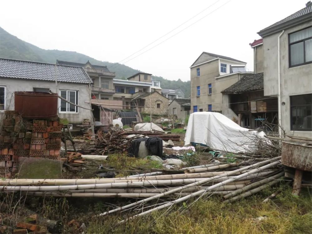 象山县涂茨镇旭拱岙村图片