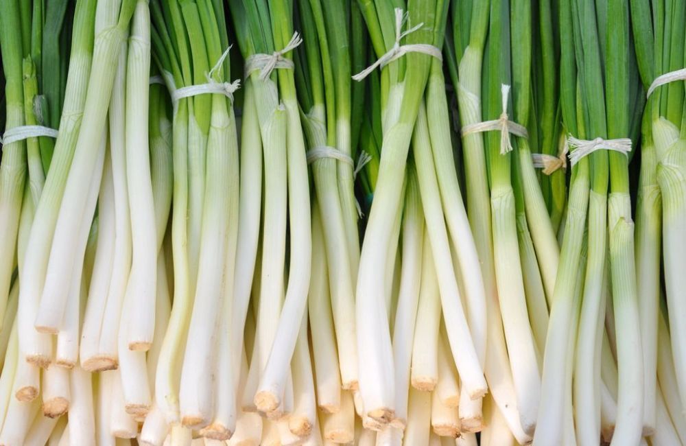 买葱时要分清小葱和香葱二者区别挺大别再买错了